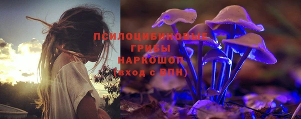тгк Инта