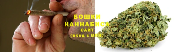 тгк Инта