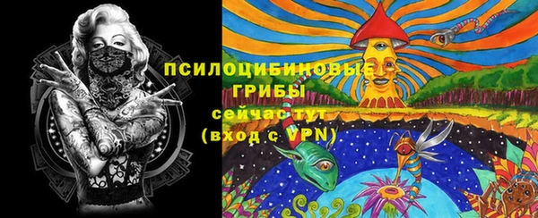тгк Инта
