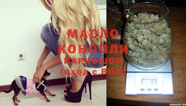 тгк Инта