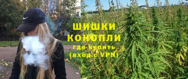 тгк Инта