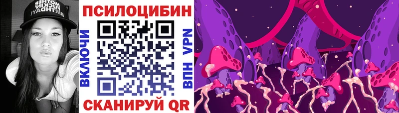Купить  Северск  Псилоцибиновые грибы Psilocybe 