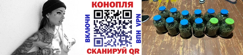 Бошки Шишки MAZAR  Купить  Северск 